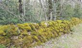 Trail Walking Le Caylar - Le Caylar - Le Cros - La Couvertoirade - Photo 1