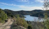 Excursión  Bormes-les-Mimosas - Barrage du trépan la louve - Photo 5