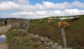 Tocht Stappen Prinsuéjols-Malbouzon - prinsueljols-aubrac etape st Jacques  - Photo 9