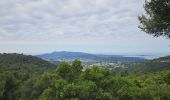 Tour Wandern Ollioules - Châteauvallon - Ollioules - Photo 4