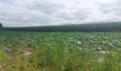 Tour Wandern Plouézec - GR_34_CH_21_Plouezec_Paimpol_20240802 - Photo 2