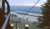 Tocht Te voet Rüdesheim am Rhein - Hildegardweg - Photo 5