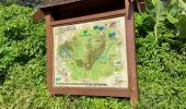 Trail Walking Le Lorrain - Boucle Vallon - Moreau - Carabin - Chemin Etoile - Photo 7