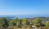 Trail Walking Le Castellet - Traversée du Gros Cerveau - forteresses et grotte - Photo 1