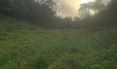 Trail Running Sainte-Anne - Liard saint Robert - Photo 9