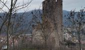 Tocht Stappen Kaysersberg-Vignoble - Kaysersberg - Photo 5