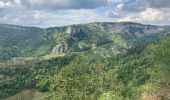 Trail Walking Cerdon - Cedron  - Photo 1