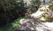 Tour Wandern Fillière - Pas du Roc - les Glières - Photo 1