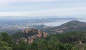 Tocht Stappen Saint-Raphaël - massif de l'Esterel : autour des grues  - Photo 14