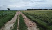 Excursión Senderismo Dalhem - dalhem Bombaye aubin mortroux dalhem  - Photo 20