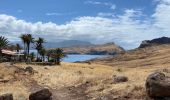 Tour Wandern Caniçal - PR8 Madère Madeira - Photo 4