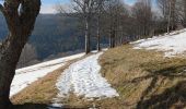 Tour Mountainbike Urbach bei Kaysersberg - tour de Fréland et d'Aubure - Photo 2