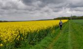 Tocht Stappen Crouy-sur-Ourcq - Marais de Negando et le Clignon depuis Crouy sur Ourcq - Photo 15