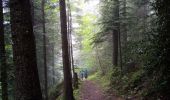 Tour Wandern Saint-Nizier-du-Moucherotte - Le bois de la Plagne- St Nizier du Moucherotte - Photo 12