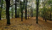 Tour Zu Fuß Marienbad - Metternichova cesta - Photo 4