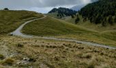 Tocht Stappen Moulinet - Col de Turini  - Photo 5