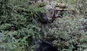 Trail Walking Vins-sur-Caramy - Vins sur Caramy-13-11-2024  - Photo 1