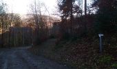 Trail Walking Sewen - Graber Novembre 23 - Photo 7
