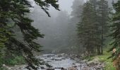 Trail Walking Cauterets - Pont d'Espagne & Lac de Gaube - Photo 3