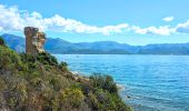 Tour Wandern Saint-Florent - De la plage de l'Ospédale  à la plage de Lotu Saint Florent Haute Corse - Photo 2