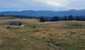 Randonnée Marche Septmoncel les Molunes - GTJ 8 Lajoux, Le Manon / La Pesse - Photo 10