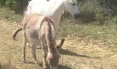 Randonnée Marche Vacquières - Vaquières Brouzet lès Quissac par Corconne - Photo 4