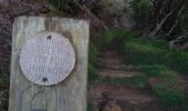 Trail Walking Entre-Deux - Jacky Inard jusqu'à la 1ere echelle - Photo 5