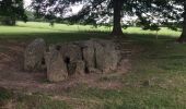 Tocht Stappen Durbuy - Les Dolmens de Wéris  - Photo 8