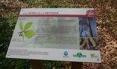 Trail Walking Houppeville - 20220412-La Breteque - Photo 19