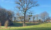 Tour Wandern Braine-l’Alleud - Golf des 7 fontaines - GR12 - Photo 12