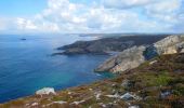 Tour Wandern Crozon - Cap de la Chèvre - Pointe de Dinan Plage de Goulien - 26.4km 600m 7h50 (40mn) - 2019 09 08 - Photo 4