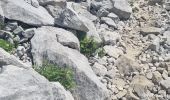 Trail Walking Bernex - autour dent doche - Photo 2