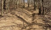 Trail Walking Entrelacs - CHAMBOTTE - Photo 4
