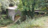 Tour Wandern Château-Arnoux-Saint-Auban - forcalquier - Photo 2