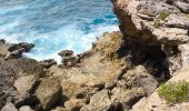 Tocht Stappen Saint-François - Guadeloupe - Pointe des Châteaux (2024) - Photo 9