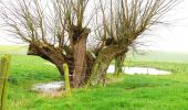 Tour Zu Fuß Heuvelland - Kemmelberg wandelroute - Photo 3