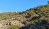 Tocht Stappen Saint-Raphaël - Rando des Etangs - Photo 12