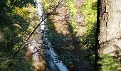 Percorso Marcia Baiersbronn - Baiersbronn - lac et cascade de Sankenbach - Photo 17