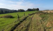 Trail Walking Esneux - Esneux Mary . Amostrenne .Hout si Plout . Bonsgnée . La Salle . Lagrange .Rond Bati . Esneux Mary - Photo 9