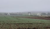 Randonnée Marche Libin - rando redu 31-12-2024 - Photo 16