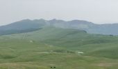 Excursión Senderismo Omblèze - Le Plateau d'Ambel du Col de la Bataille - Photo 17