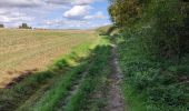 Excursión Senderismo Sombreffe - Boignée Tongrinne - Photo 1