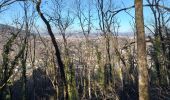 Randonnée Marche Beure - Beure, côte blanche, bois de peu - Photo 8