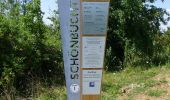 Trail On foot Herrenberg - Turm-Tour - Photo 3