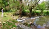 Trail Walking Théminettes - Theminette  - Photo 3