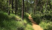 Trail On foot Campdevànol - itinerari de natura dels Gorgs del Torrent de la Cabana - Photo 2