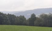 Tour Wandern Durbuy - GR 57 ETAPE 4: DURBUY-MOULIN DE MELINES  - Photo 3