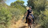 Trail Horseback riding Revest-du-Bion - Provence 2025 J5 - Photo 13