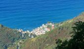 Trail On foot Riccò del Golfo di Spezia - S.Benedetto – Porcale -Codeglia – Carpena – Sella di Carpena - Photo 6