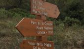 Trail Walking Grasse - Plateau de la malle - Photo 8